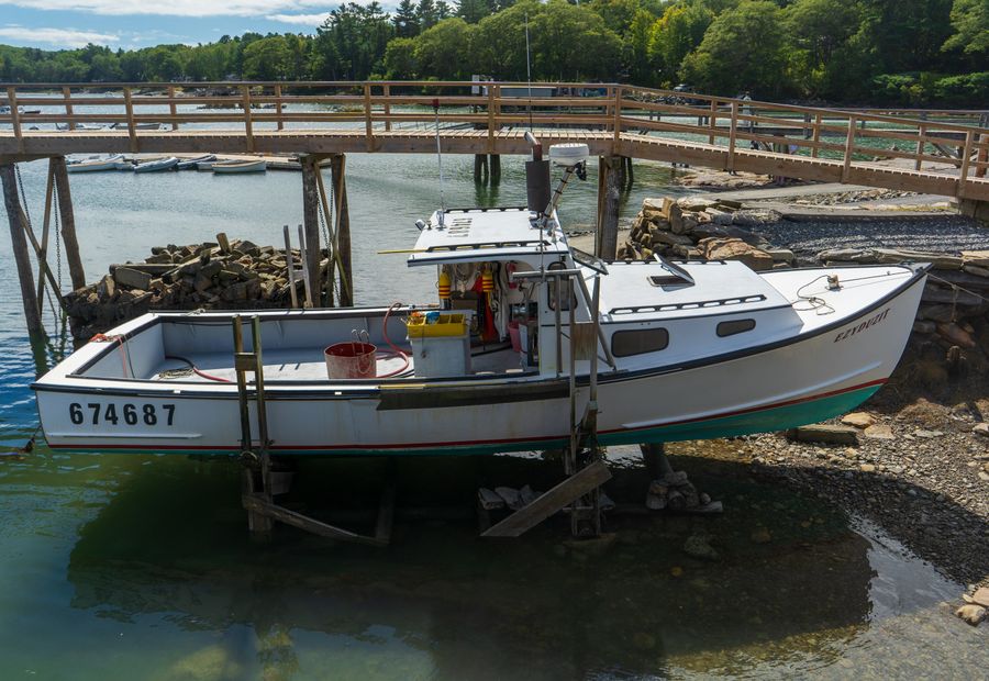 Boats raised out of the water at a St Andrews Bay marine yard