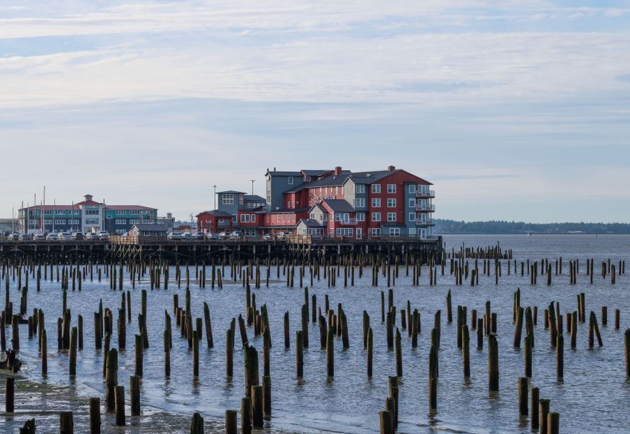 Old timber anchor piles behind a failing bay seawall in Panama City